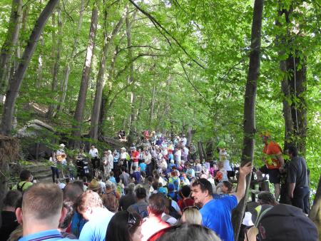 12. pohod Pomlad v prleških goricah Dan odprtih kleti in veselih ljudi, 28.5.2016 6